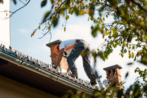 Best Roof Gutter Cleaning  in Dock Junction, GA